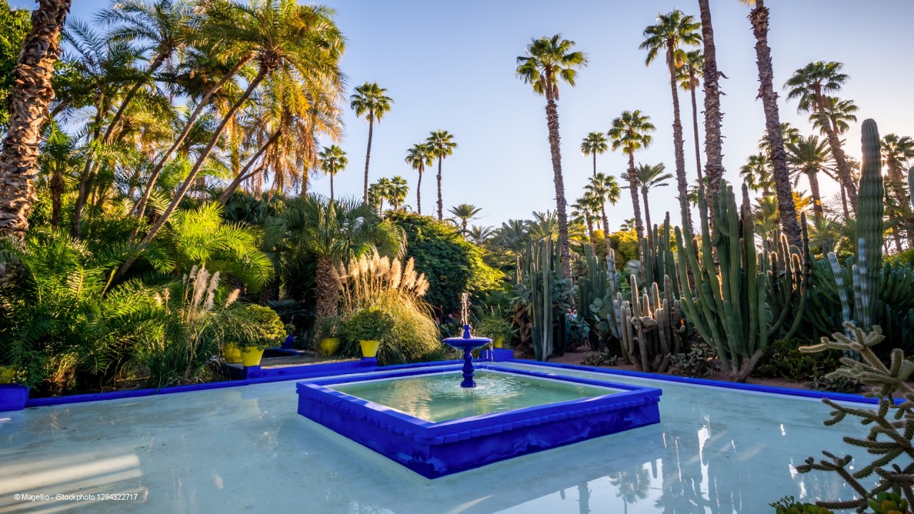 Week-end Marrakech 1