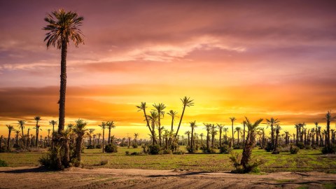Séjour Maroc